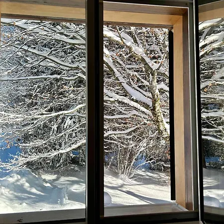 Chalet Le Petite